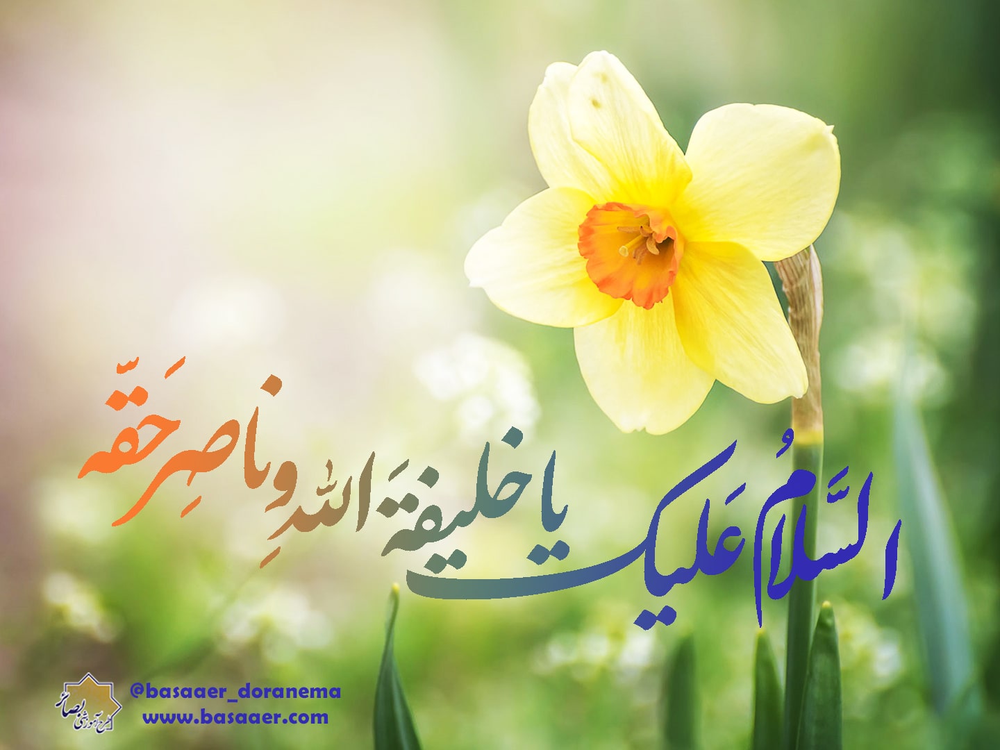 خلیفة الله